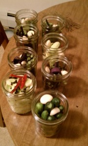 Filling the jars with cucumbers, green beans, garlic, pepper corns and hot peppers.