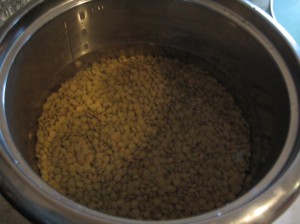 cooking lentils